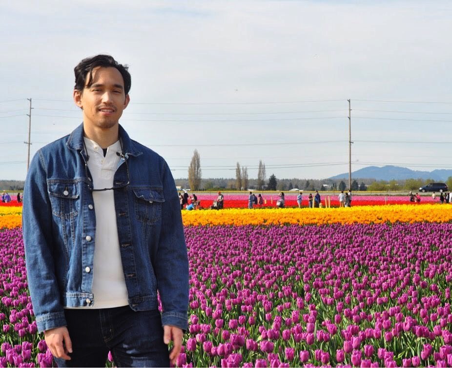 JP Tulips